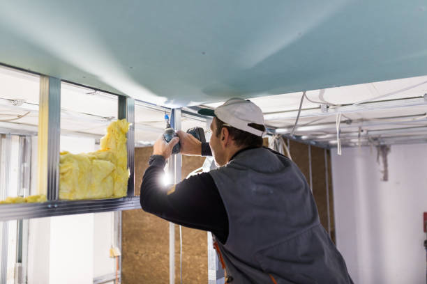 Best Eco-Friendly Insulation in Beach Park, IL