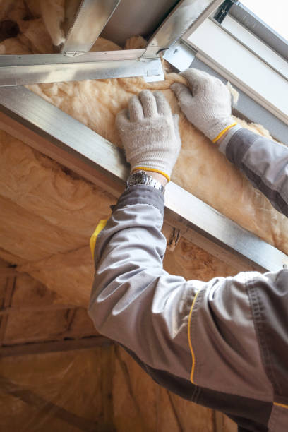 Best Specialized Insulation Services in Beach Park, IL