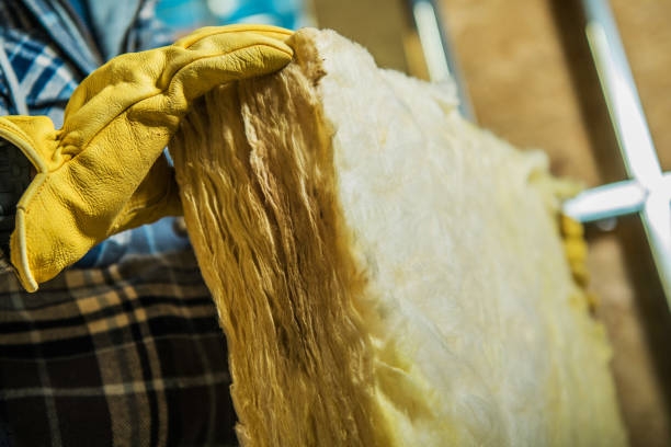 Best DIY Insulation Kits and Guidance in Beach Park, IL