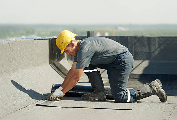 Best Commercial Insulation in Beach Park, IL