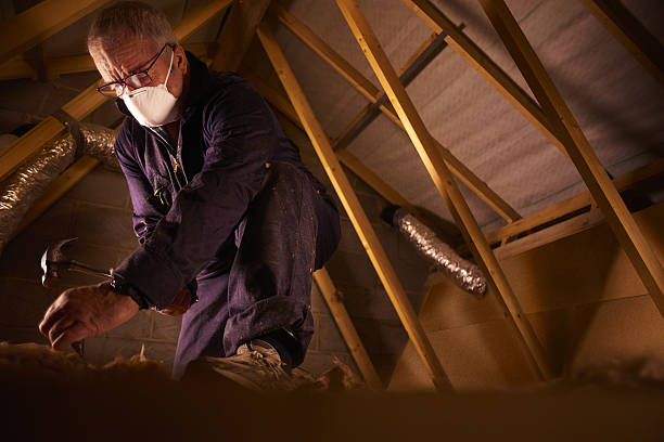 Best Fiberglass Insulation in Beach Park, IL