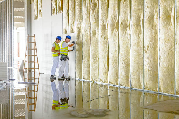 Types of Insulation We Offer in Beach Park, IL